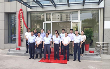 ���輯�Ž�����ʽ